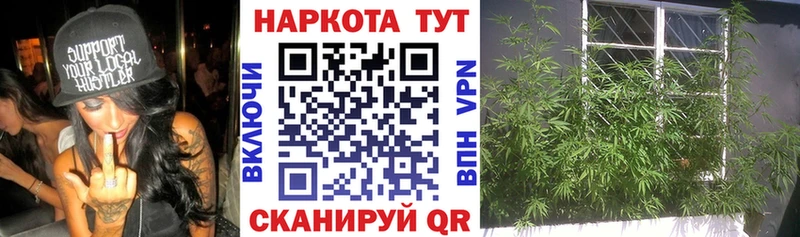 Наркошоп Киржач ГАШ  АМФ  Мефедрон  Галлюциногенные грибы  Кокаин  Конопля 