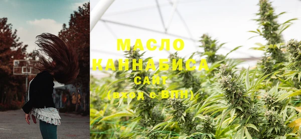 дживик Осташков