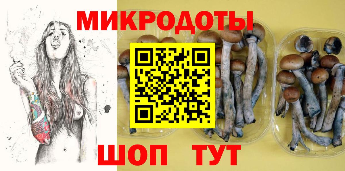 Галлюциногенные грибы Cubensis Киржач
