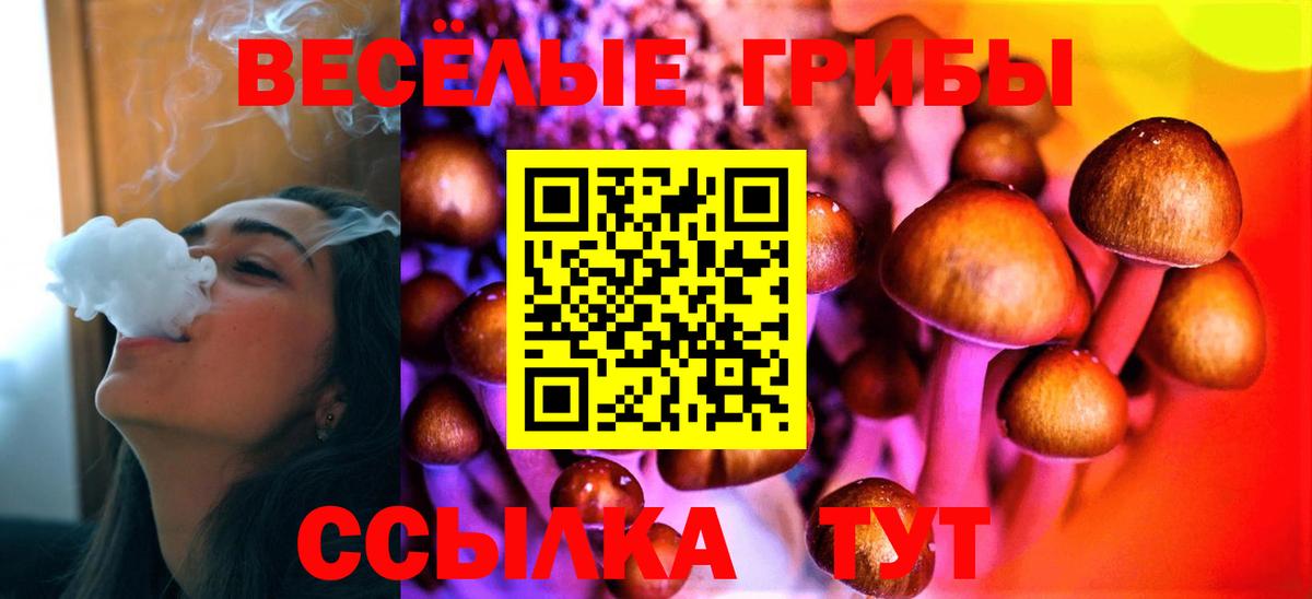 где можно купить   Киржач  Псилоцибиновые грибы мухоморы 