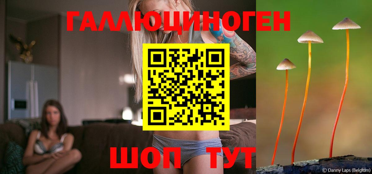 Киржач  Галлюциногенные грибы MAGIC MUSHROOMS  Вход с VPN  Галлюциногенные грибы ЛСД 